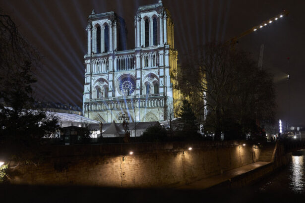 40 de sefi de stat si de guvern sunt asteptati la redeschiderea catedralei notre dame din paris cand va fi permis accesul publicului 6752db965e1ab