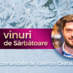5 vinuri pentru sarbatori de la campionul mondial la degustare valentin ceafalau 6757db9799915