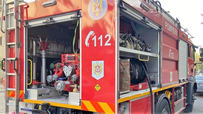 500 de oi au murit dupa ce grajdul in care se aflau a luat foc 676e6d9471875