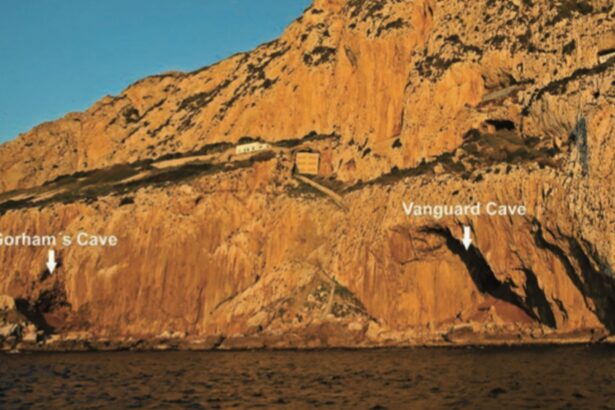 a fost descoperita o structura complexa care ar fi putut sa fie creata doar de neanderthalieni 6766f12625dcf