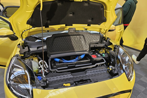 a inceput productia motoarelor electrice care vor echipa ford puma gen e la 3 000 km distanta de craiova exista si un minus pentru industria auto romaneasca 675d2fcbaa6c3