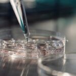 a venit pe lume primul bebelus conceput printr o noua tehnologie de fertilitate mai putin invaziva 67655efa83962
