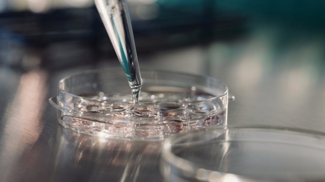 Primul bebeluș conceput printr-o nouă tehnologie de fertilitate, mai puțin invazivă, a venit pe lume. 1 a venit pe lume primul bebelus conceput printr o noua tehnologie de fertilitate mai putin invaziva 67655efa83962