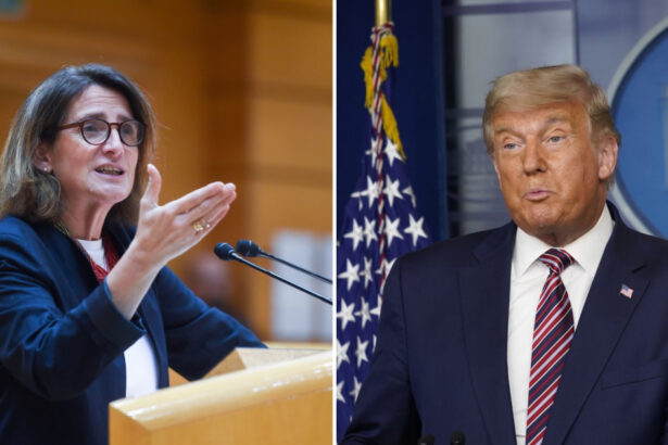 administratia trump 2 0 va face rau planetei si va deschide usa rivalilor din domeniul energiei verzi spune sefa ue pentru clima 675fe651207c8