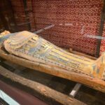 ADN-ul ciumei bubonice descoperit într-o mumie egipteană de acum 3.300 de ani 3 adn ul ciumei bubonice a fost gasit intr o mumie egipteana de acum 3 300 de ani 676d79d81bb26