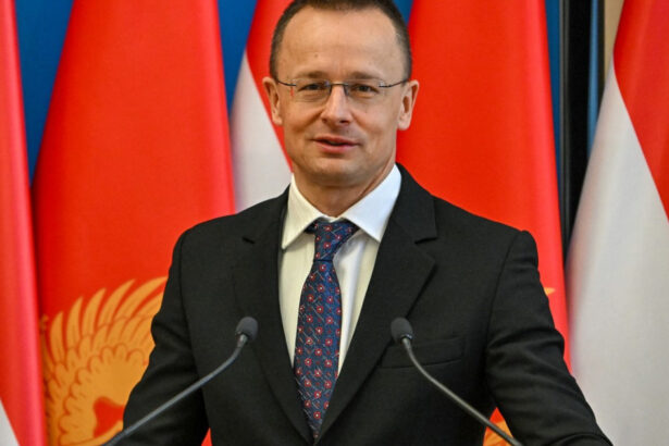 alegeri parlamentare 2024 peter szijjarto etnicii maghiari din romania au demonstrat ca vor o reprezentare puternica 674d8e39dd28d
