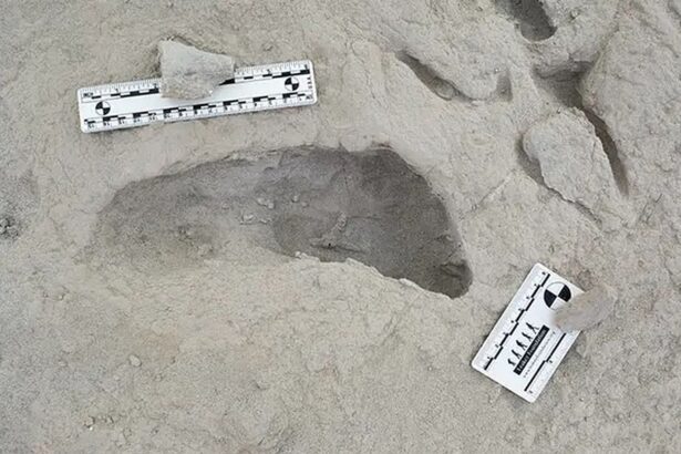amprente vechi de 15 milioane de ani a doua specii diferite de stramosi umani descoperite in acelasi loc 67507184b02f3