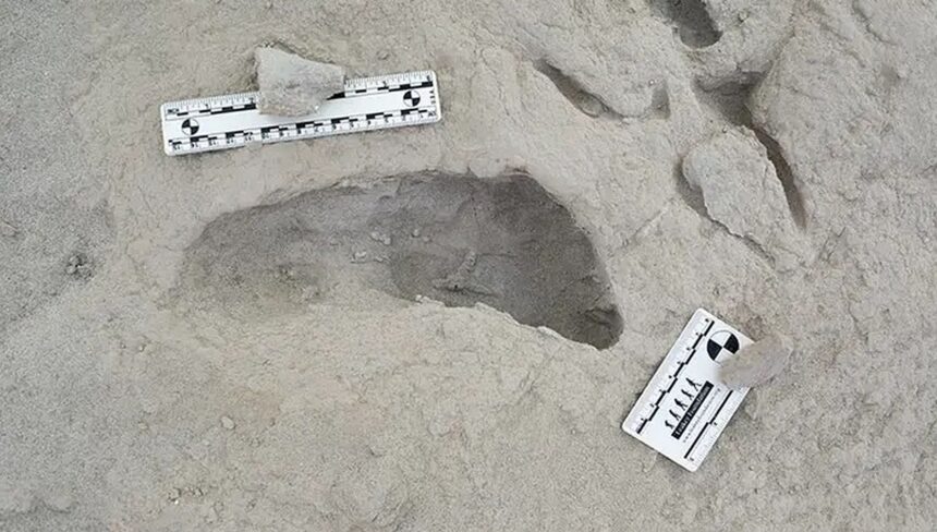 Amprente vechi de 1,5 milioane de ani ale două specii diferite de strămoși umani, descoperite în același loc 1 amprente vechi de 15 milioane de ani a doua specii diferite de stramosi umani descoperite in acelasi loc 67507184b02f3
