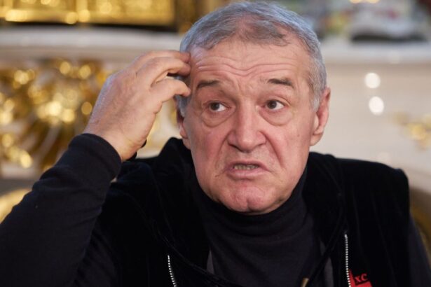 analiza hoffenheim fcsb de cosmar pentru campioana romaniei capitolul la care echipa lui becali e zero 6759247294d7b