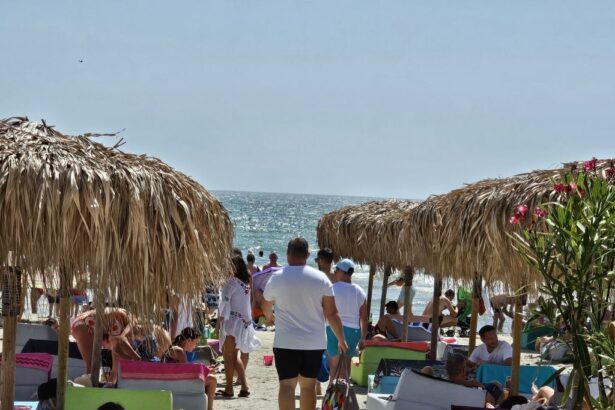 anar scoate la licitatie alte 28 de sectoare de plaja din mamaia constanta eforie nord si vama veche 676e718e5e0a5
