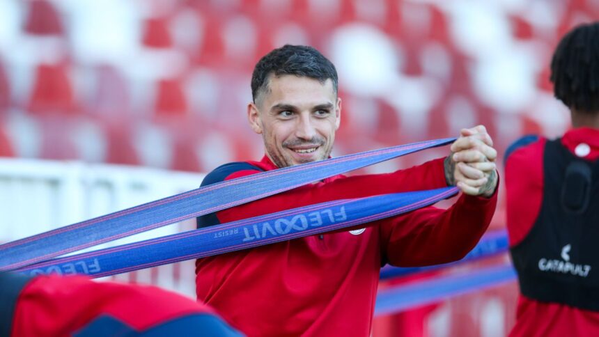 antrenor pentru nita si stanciu pe cine a ales damac dupa ce contra a plecat iar sumudica a refuzat oferta 67654f61533b5