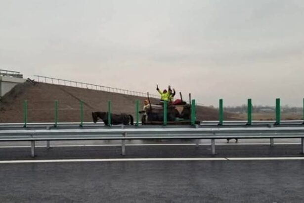 aparitie inedita pe a2 caruta plina cu petrecareti surprinsa pe sensul spre constanta 676ff5b586648