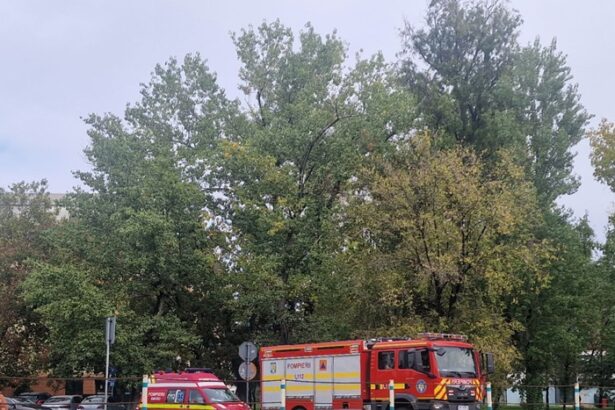 arde o masina de gunoi pe varianta spre ovidiu 674d8b77d3b8d