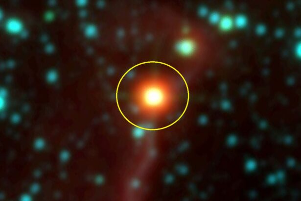 astronomii din galati au descoperit o noua stea variabila ce nume a primit 676acfbcb4a58