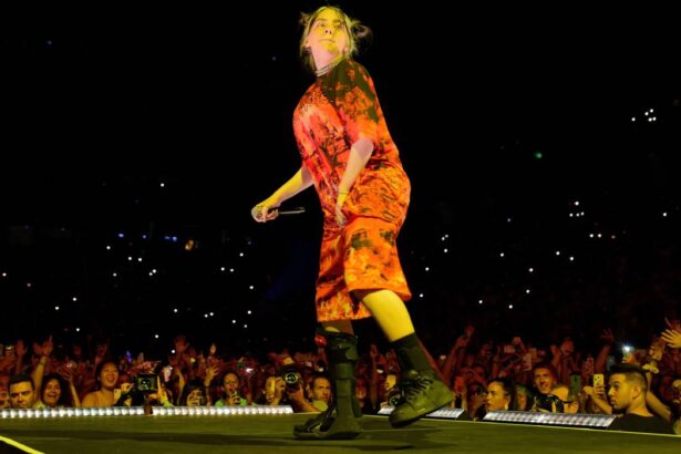 billie eilish a fost lovita de un fan in timpul unui concert din arizona reactia artistei 67602815aa47f
