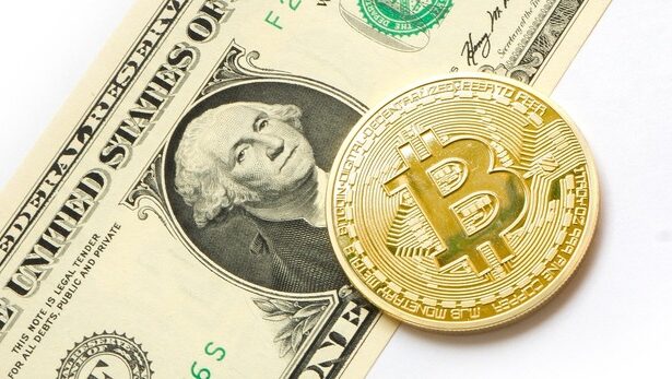 bitcoin a crescut cu aproape 40 in noiembrie ca efect al victoriei lui donald trump in alegerile prezidentiale din sua 674c2f499f0d8