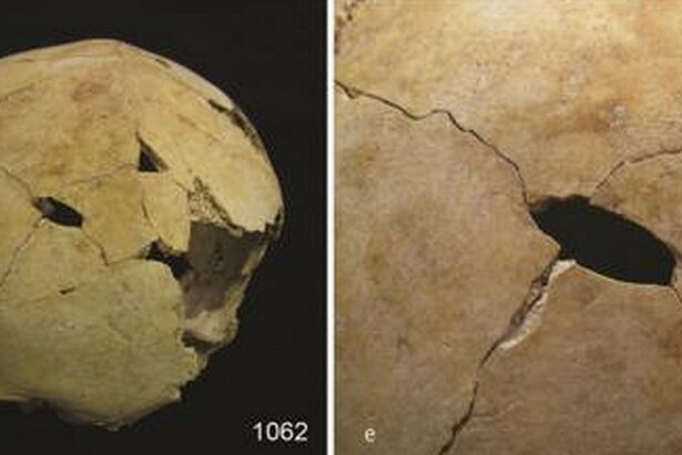 britanicii din epoca bronzului isi mancau dusmanii sugereaza o descoperire macabra 67699a343fcb9
