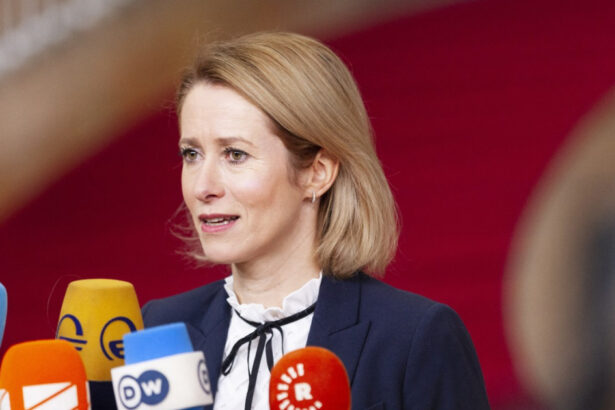 caderea lui assad din siria ne arata ca rusia nu este invincibila spune sefa diplomatiei europene nu ar trebui sa ne subestimam 67642886300db