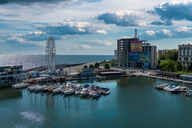 cafenelele din portul tomis au dat in judecata administratia porturilor maritime pe primar si pe concesionara portului tomis marina management 6754936d48c06
