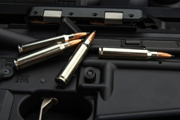 canada interzice peste 300 de modele de arme de asalt pe care le va trimite in ucraina fiecare ajutor e un pas catre victoria lor 6752b3e04190c