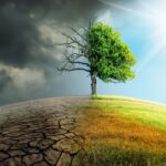 cat ne va costa sa rezolvam problema schimbarilor climatice daca nu luam masuri acum 675315347442c