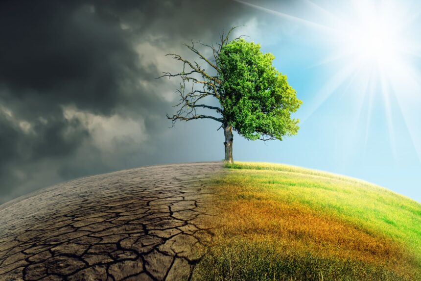Costurile soluționării problemei schimbărilor climatice dacă nu acționăm acum. 1 cat ne va costa sa rezolvam problema schimbarilor climatice daca nu luam masuri acum 675315347442c