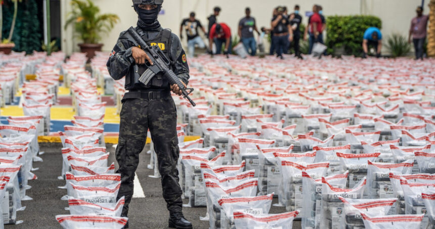 Cea mai mare captură de cocaină din istoria Republicii Dominicane: 9,5 tone de droguri descoperite într-un transport de banane. 1 cea mai mare captura de cocaina din istoria republicii dominicane 95 tone de droguri au fost descoperite intr un transport de banane 67548786694ee