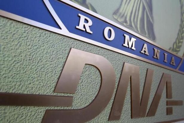 cinci oferte pentru digitalizarea dna buget de peste 7 milioane de lei 675bccb779bb0