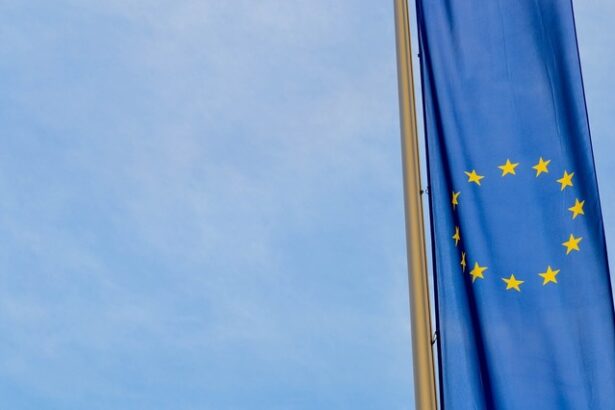 comisia europeana solicita romaniei sa reduca sarcina asupra profesionistilor care doresc sa furnizeze servicii temporare si ocazionale 6760163b50d6d
