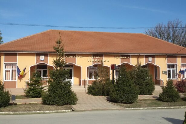 condamnare definitiva cu executare pentru delapidarea bugetului primariei targusor 675a699ef186f