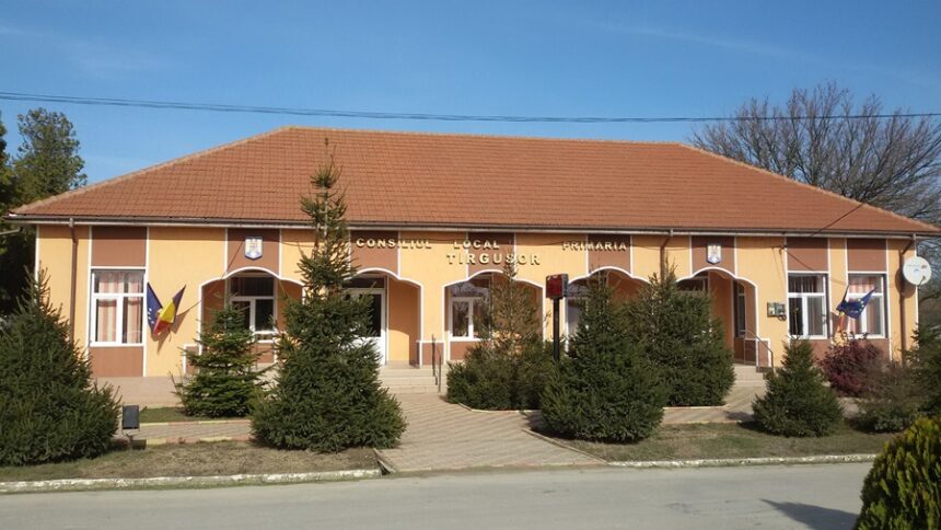 condamnare definitiva cu executare pentru delapidarea bugetului primariei targusor 675a699ef186f