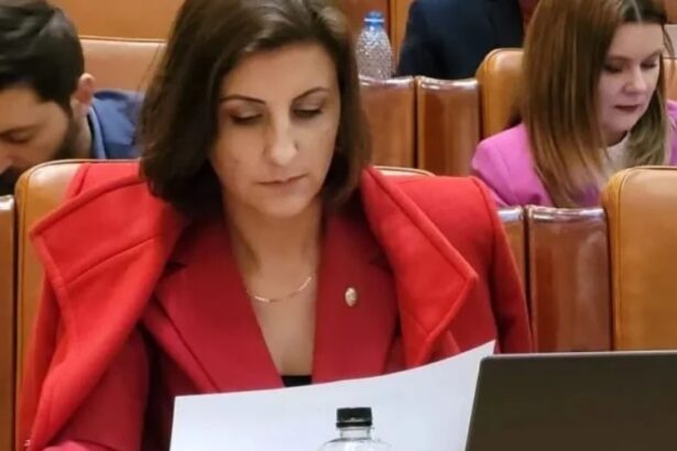 conditiile esentiale ale psd pentru intrarea la guvernare deputata rizea invoca masuri care se subscriu notiunii de patriotism economic 67598662e60f0