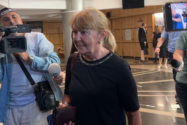 constanta motivare taioasa in cazul monicai macovei fost ministru al justitiei starea de pericol a fost declansata exclusiv de catre inculpata 675bb91a07ab5