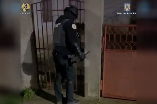 constanta unsprezece persoane cercetate penal pentru trafic de minori trafic de persoane proxenetism si folosirea prostitutiei infantile 675b414489a25