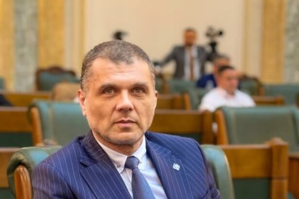 cosa pnl constanta secretar al comisiei pentru aparare din senat 6768301d9796c