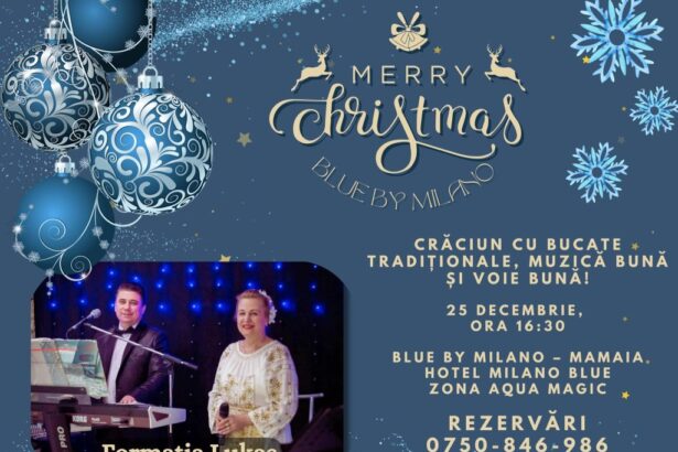 craciun magic blue by milano mamaia 676b4d0ced113