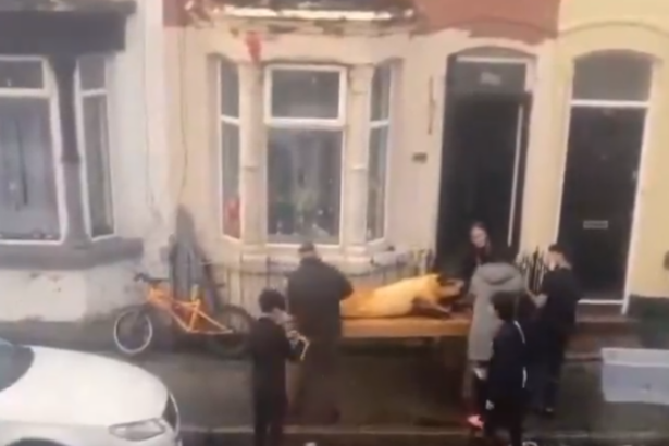 craciun romanesc pe strazile din liverpool o familie a fost filmata in timp ce parlea porcul in fata casei 676e56c33a300