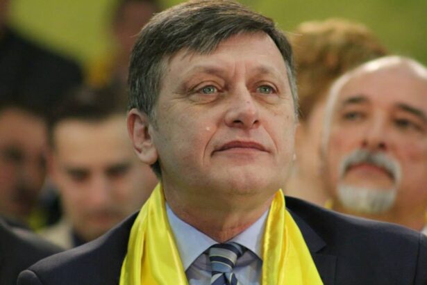 crin antonescu este propunerea coalitiei psd pnl udmr la prezidentiale 67691d7fbb54d