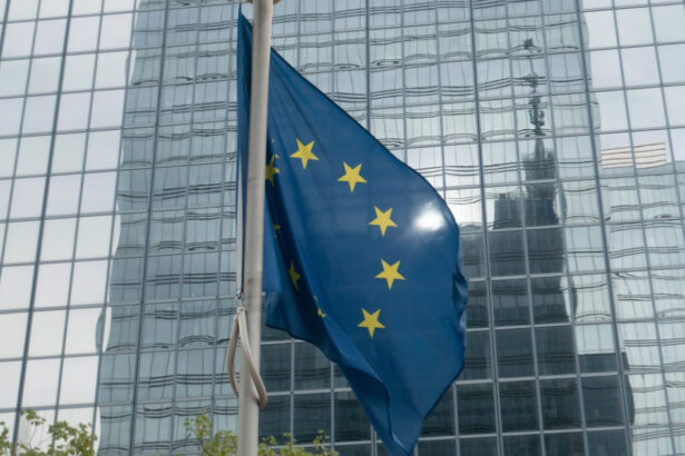 cum vrea uniunea europeana sa intre in contact cu noile autoritati din siria si ce mesaj le va transmite 675c8c8277fb0