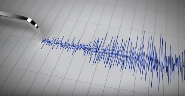 cutremur cu magnitudinea 35 in judetul buzau vineri dimineata 676e5c0483ec2