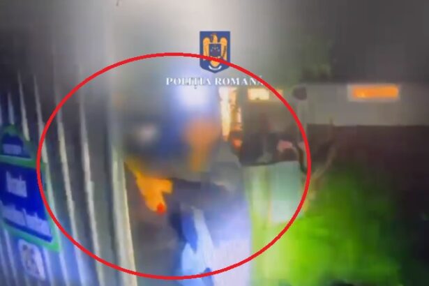 decizie definitiva in dosarul in care doi soti au fost agresati cu un topor pe strada intr o localitate din judetul constanta 674f9e7a9f29e