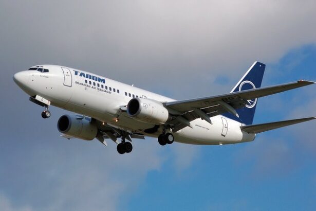 decizie flota tarom unul dintre cele mai mari conturi de asigurare din romania tot la cel mai mare intermediar din cehia 674d450d7b292