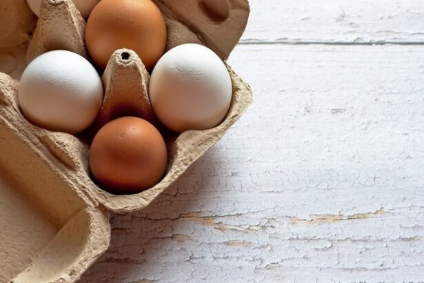 decizie importul restrictionat de produse agricole din ucraina prelungit pana anul viitor 6762c30d46d0a