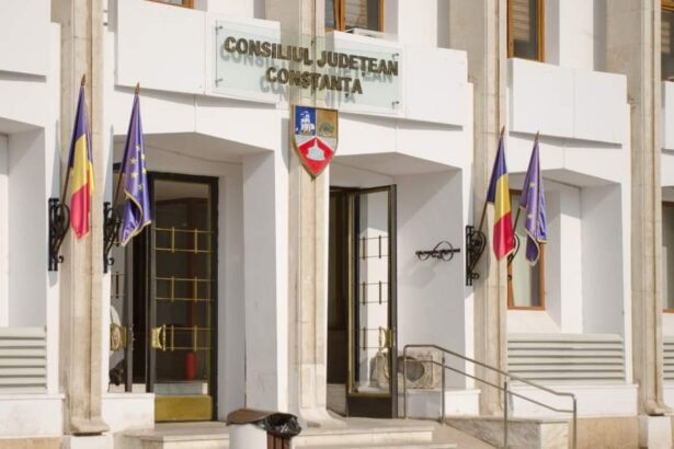 document consiliul judetean constanta va fi reorganizat va fi achizitionata consultanta necesara 6763a69b2b265