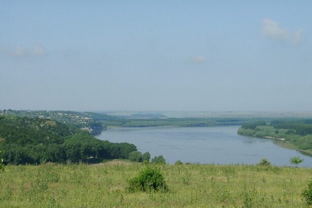 doua suprafete de teren din ostrov si rasova scoase la licitatie de administratia bazinala de apa dobrogea litoral 674e067804d6c