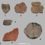 dovezi de 10 000 de ani pentru cea mai veche bautura alcoolica din istoria omenirii 675ef21cbe5f5