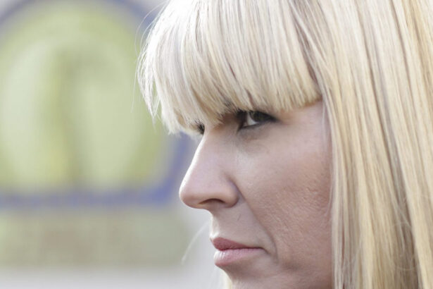 elena udrea poate afla azi daca iese din inchisoare iccj asteptata se pronunte in dosarul revizuirii privind condamnarea 675a8bc65caba
