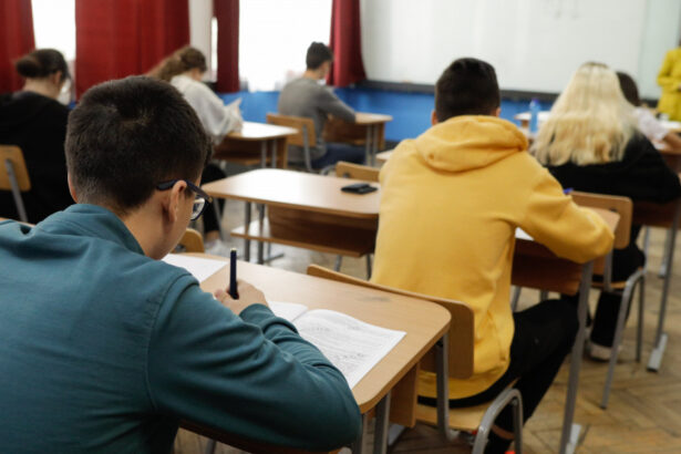elevii din ciclul preuniversitar pot promova doi ani de studiu intr unul sub anumite conditii anuntul ministerului educatiei 6762c5244b241