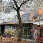 exclusiv politia locala sector 1 a fost avertizata despre posibilitatea producerii unor incendii la marul de aur ce au raspuns autoritatile 6754995dd167e