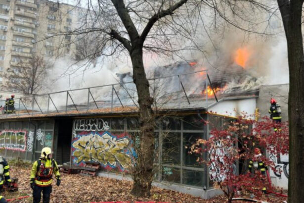 exclusiv politia locala sector 1 a fost avertizata despre posibilitatea producerii unor incendii la marul de aur ce au raspuns autoritatile 6754995dd167e